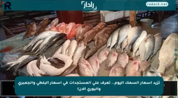 تزيد أسعار السمك اليوم.. تعرف على المستجدات في أسعار البلطي والجمبري والبوري الآن!
